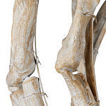 Люстра круглая в виде веток деревьев Natural Driftwood варинант исполнения - 3 | Loft Concept в Нижнем Новгороде