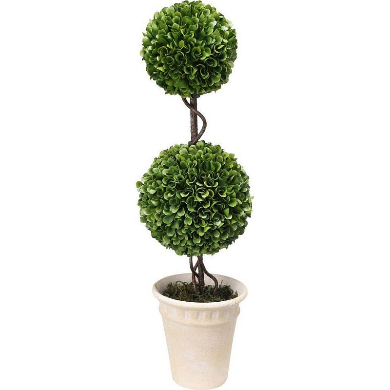Декоративный искусственное растение Boxwood Зеленый Бежевый Коричневый Декоративный искусственное растение Boxwood Зеленый Бежевый Коричневый в Нижнем Новгороде | Loft Concept
