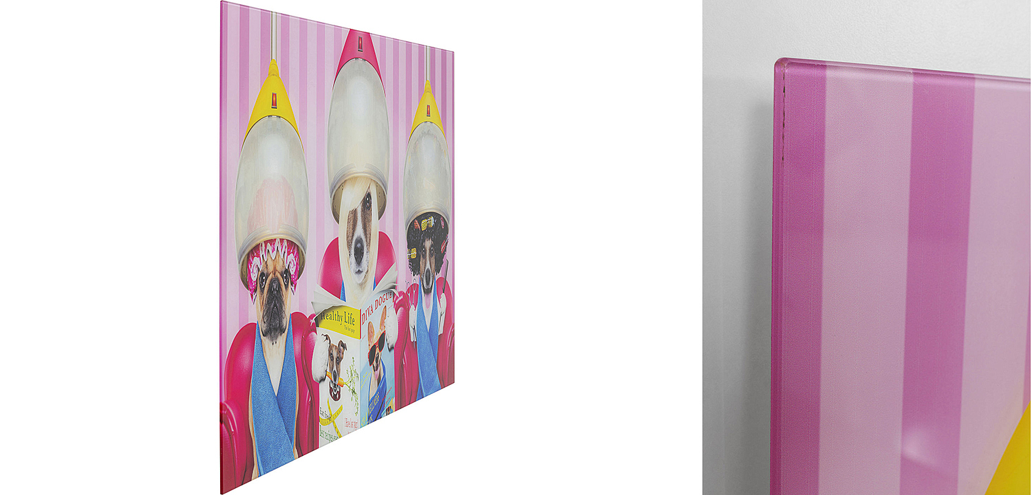 Картина Dogs in a beauty salon  - Loft-Concept в Нижнем Новгороде