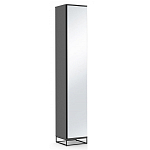 Шкаф-пенал с зеркальной дверцей и фасадом цвета графит Strict Lines варинант исполнения - 1 | Loft Concept в Нижнем Новгороде