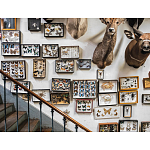 Книга Extraordinary Collections: French Interiors варинант исполнения - 11 | Loft Concept в Нижнем Новгороде