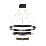 Люстра светодиодная с 3-мя плафонами в форме колец из акрила и алюминия с пультом для регулировки света Ring Horizontal Anthracite варинант исполнения - 6 | Loft Concept в Нижнем Новгороде