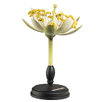 Статуэтка Tilia варинант исполнения - 2 | Loft Concept в Нижнем Новгороде