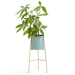 Кашпо из металла и латуни Elegance Elevated Planters  варинант исполнения - 2 | Loft Concept в Нижнем Новгороде