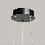 Люстра с прозрачным волнистым плафоном в форме цветка Ethereal Bloom варинант исполнения - 11 | Loft Concept в Нижнем Новгороде