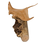 Статуэтка из дерева скат Animals of the World варинант исполнения - 2 | Loft Concept в Нижнем Новгороде