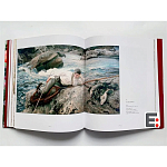 Книга Коллекция картин Сарджента Sargent: The Masterworks варинант исполнения - 6 | Loft Concept в Нижнем Новгороде