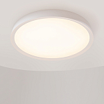 Потолочный светильник Incognito 2700-4000К 46Вт варинант исполнения - 4 | Loft Concept в Нижнем Новгороде