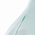 Ваза-бутыль из стекла TRANSPARENT FORMS 56 варинант исполнения - 4 | Loft Concept в Нижнем Новгороде