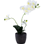 Декоративный искусственное растение Angel Orchid варинант исполнения - 1 | Loft Concept в Нижнем Новгороде