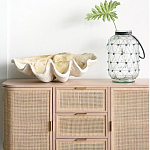 Блюдо декоративное в виде ракушки Seashell варинант исполнения - 1 | Loft Concept в Нижнем Новгороде