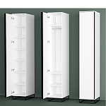 Шкаф-пенал белый с зеркальной дверцей Strict Lines варинант исполнения - 5 | Loft Concept в Нижнем Новгороде