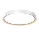 Потолочный светильник Incognito 2700-4000К 46Вт варинант исполнения - 1 | Loft Concept в Нижнем Новгороде