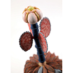 Статуэтка тропический фрукт Pandora Tropical Fruit Orange Brown Pink Flower варинант исполнения - 1 | Loft Concept в Нижнем Новгороде