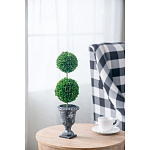 Декоративный искусственное растение Double boxwood варинант исполнения - 5 | Loft Concept в Нижнем Новгороде