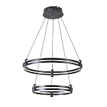 Люстра светодиодная с 2-мя плафонами в форме колец из акрила и алюминия с пультом для регулировки света Ring Horizontal Black варинант исполнения - 4 | Loft Concept в Нижнем Новгороде
