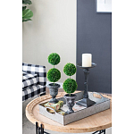 Декоративный искусственное растение Double boxwood варинант исполнения - 8 | Loft Concept в Нижнем Новгороде