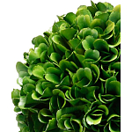 Декоративный искусственное растение Single boxwood варинант исполнения - 2 | Loft Concept в Нижнем Новгороде