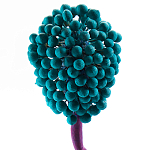 Статуэтка для интерьера фрукт Pandora Tropical Fruit 22 варинант исполнения - 2 | Loft Concept в Нижнем Новгороде