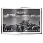 Книга Beusker. Look into my Eyes варинант исполнения - 2 | Loft Concept в Нижнем Новгороде