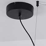 Люстра подвесная светодиодная черный металл Ring Horizontal варинант исполнения - 13 | Loft Concept в Нижнем Новгороде