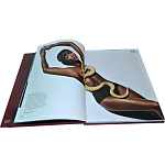Коллекционная книга Art in Vogue варинант исполнения - 1 | Loft Concept в Нижнем Новгороде