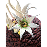 Статуэтка тропический фрукт Pandora Tropical Fruit Brown Red Creamy Flowers варинант исполнения - 3 | Loft Concept в Нижнем Новгороде