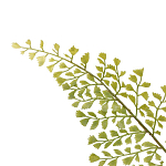 Декоративный искусственное растение Dried flower варинант исполнения - 3 | Loft Concept в Нижнем Новгороде