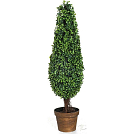 Декоративный искусственное растение Boxwood tree варинант исполнения - 1 | Loft Concept в Нижнем Новгороде