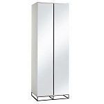 Двухдверный шкаф с зеркальными дверцами Strict Lines варинант исполнения - 5 | Loft Concept в Нижнем Новгороде