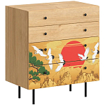 Комод с принтом на ящиках Elise Chest of Drawers варинант исполнения - 4 | Loft Concept в Нижнем Новгороде