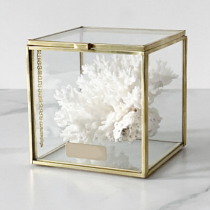 Статуэтка Natural Coral Glass Box S