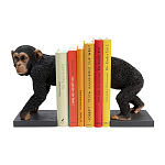 Держатель для книг Шимпанзе варинант исполнения - 1 | Loft Concept в Нижнем Новгороде