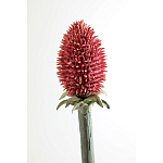 Статуэтка тропический фрукт Pandora Tropical Fruit Orange Red Round варинант исполнения - 3 | Loft Concept в Нижнем Новгороде