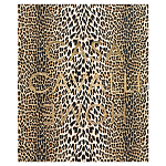 Редкое коллекционное издание Casa Cavalli Home: Celebrating the Roberto Cavalli Lifestyle Леопард варинант исполнения - 1 | Loft Concept в Нижнем Новгороде