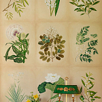 Обои ручная роспись Botanical Studies Linnaeus colourway варинант исполнения - 3 | Loft Concept в Нижнем Новгороде