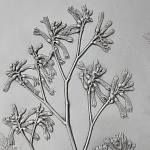 Панно Лесной цветок варинант исполнения - 4 | Loft Concept в Нижнем Новгороде