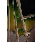 Панно «Амазония» варинант исполнения - 3 | Loft Concept в Нижнем Новгороде