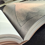 Лимитированное издание Иллюстрации модного дома Book: Dior par Mats Gustafson Vol. II Maria Grazia Chiuri варинант исполнения - 3 | Loft Concept в Нижнем Новгороде