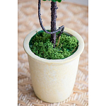 Декоративный искусственное растение Single boxwood варинант исполнения - 6 | Loft Concept в Нижнем Новгороде