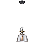 Подвесной светильник Moss варинант исполнения - 3 | Loft Concept в Нижнем Новгороде