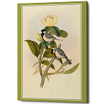 Постер на холсте с изображением птиц Blooming Birds Poster варинант исполнения - 10 | Loft Concept в Нижнем Новгороде