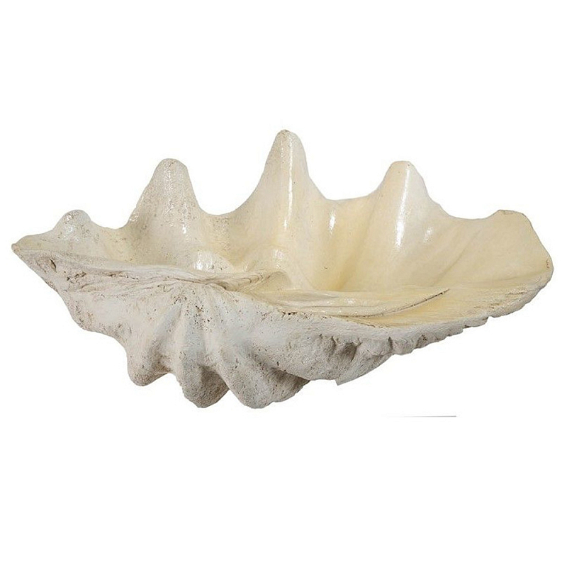 Блюдо декоративное в виде ракушки Seashell Белый Бежевый в Нижнем Новгороде | Loft Concept 