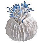 Статуэтка тропический фрукт Tropical Fruit White Blue варинант исполнения - 2 | Loft Concept в Нижнем Новгороде