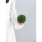 Декоративный искусственное растение Small boxwood варинант исполнения - 3 | Loft Concept в Нижнем Новгороде