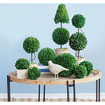 Декоративный искусственное растение Single boxwood варинант исполнения - 4 | Loft Concept в Нижнем Новгороде