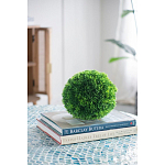 Декоративный искусственное растение Round boxwood варинант исполнения - 6 | Loft Concept в Нижнем Новгороде