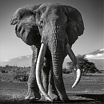 Книга Beusker. Look into my Eyes варинант исполнения - 5 | Loft Concept в Нижнем Новгороде