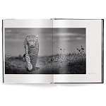 Книга Beusker. Look into my Eyes варинант исполнения - 1 | Loft Concept в Нижнем Новгороде