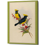 Постер на холсте с изображением птиц Blooming Birds Poster варинант исполнения - 9 | Loft Concept в Нижнем Новгороде